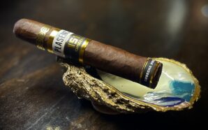 Cigar Review – Cosecha 151 La Musica by Plasencia Cigars