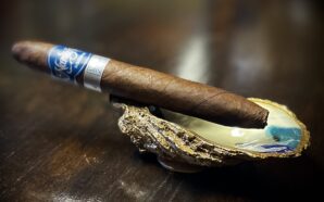 Cigar Review – Namakubi Chingon 2025 by Room 101